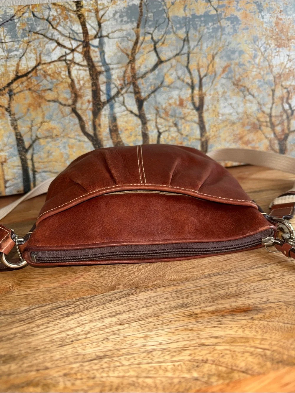 Brown Coach SoHo Swingpack Leather Crossbody Bag with Canvas Strap